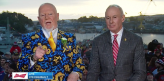 Don Cherry rips Hurricanes celebrations, calls team ‘Bunch of Jerks’