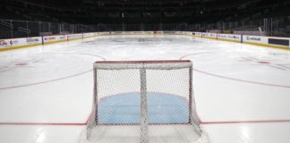 Examining the NHL’s best options for resuming the 2019-20 season
