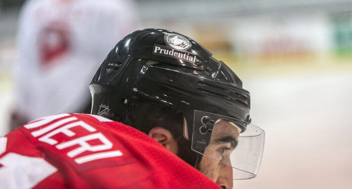 NHL-helmet-designs