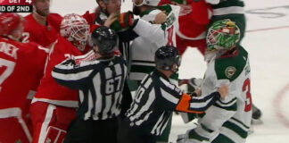Goalie Cam Talbot skates down ice to join brawl in Detroit Minnesota goalie Cam Talbot skates down ice to join brawl with Red Wings goalie Alex Nedeljkovic