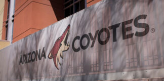 Why the Arizona Coyotes are Leaving for Utah: Franchise Relocation Explained Arizona Coyotes relocation