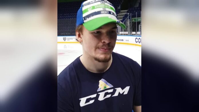 alexander-alexeyev-salavat-yulaev-khl Alexander Alexeyev Salavat Yulaev KHL Penguins Capitals defenseman