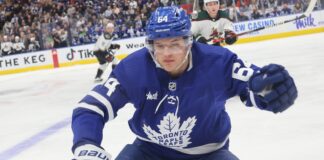David Kampf Signs With Litvinov, Says NHL Became ‘a Job’ David Kampf Toronto Maple Leafs center leaving NHL for HC Litvinov Czech Extraliga