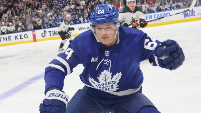 david-kampf-maple-leafs-litvinov David Kampf Toronto Maple Leafs center leaving NHL for HC Litvinov Czech Extraliga