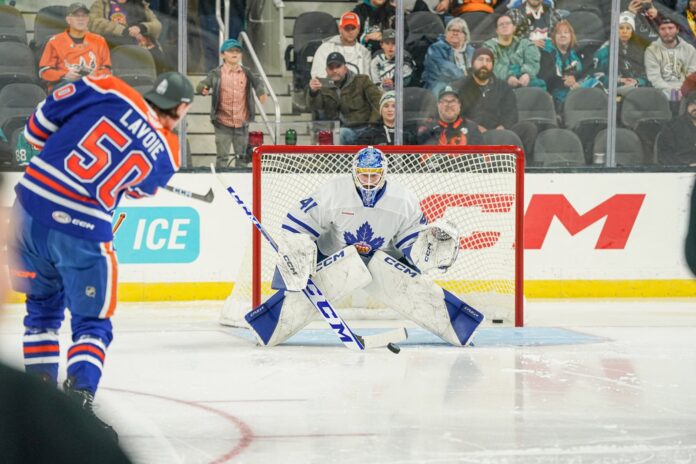 dennis-hildeby-lightning-goalie Dennis Hildeby Tampa Bay Lightning goaltender making a save