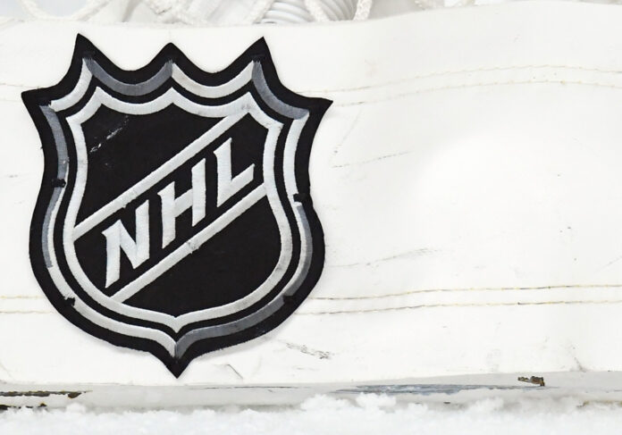 NHL shield logo generic NHL shield logo on the back of the net