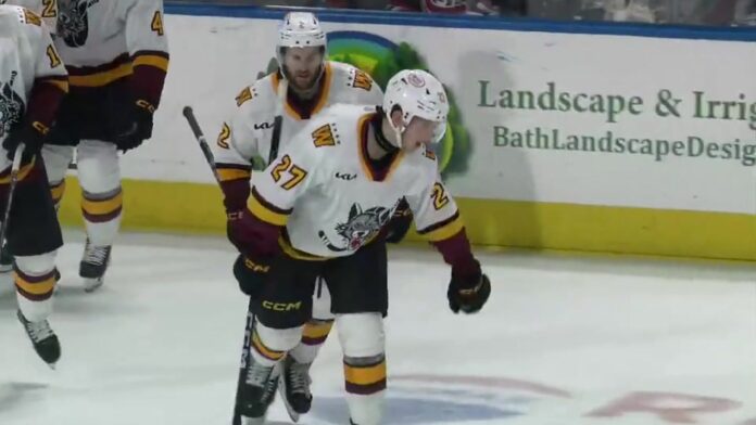 Ivan Ryabkin Chicago Wolves Game 7 goal 2026 Carolina Hurricanes prospect Ivan Ryabkin celebrates his Game 7 goal for the Chicago Wolves in the 2026 AHL Western Conference Final