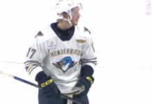 Nikita Alexandrov Signing: Ex-Blues Pick Expected in KHL Nikita Alexandrov of the Springfield Thunderbirds during an AHL game before his reported KHL Shanghai Dragons signing