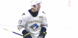 Nikita Alexandrov Signing: Ex-Blues Pick Expected in KHL Nikita Alexandrov of the Springfield Thunderbirds during an AHL game before his reported KHL Shanghai Dragons signing