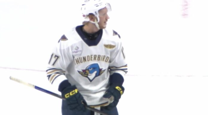 Nikita Alexandrov Signing: Ex-Blues Pick Expected in KHL Nikita Alexandrov of the Springfield Thunderbirds during an AHL game before his reported KHL Shanghai Dragons signing