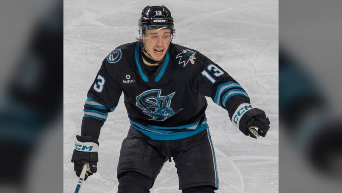 Quentin Musty Sharks Prospect Barracuda 2026 Quentin Musty San Jose Sharks prospect San Jose Barracuda 2026