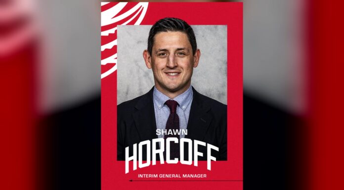Shawn Horcoff Interim GM: Red Wings Move Yzerman to Advisor Shawn Horcoff named Detroit Red Wings interim general manager