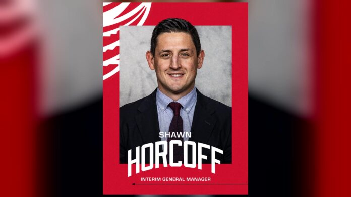 Shawn Horcoff Red Wings interim general manager Shawn Horcoff named Detroit Red Wings interim general manager