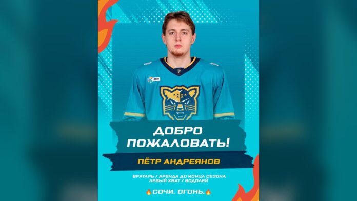 Pyotr Andreyanov HC Sochi KHL loan Blue Jackets goalie prospect Pyotr Andreyanov in an HC Sochi jersey after his KHL loan from CSKA Moscow, Columbus Blue Jackets goalie prospect