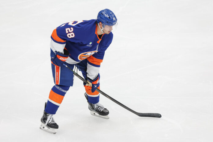 Alexander Romanov Islanders New York Islanders defenseman Alexander Romanov (28) during a game against the Washington Capitals at UBS Arena in Elmont, New York