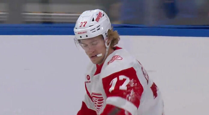 Red Wings Open to Edvinsson Trade for Picks and Prospects Simon Edvinsson Detroit Red Wings defenseman trade talks prospects picks