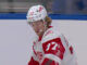 Red Wings Open to Edvinsson Trade for Picks and Prospects Simon Edvinsson Detroit Red Wings defenseman trade talks prospects picks